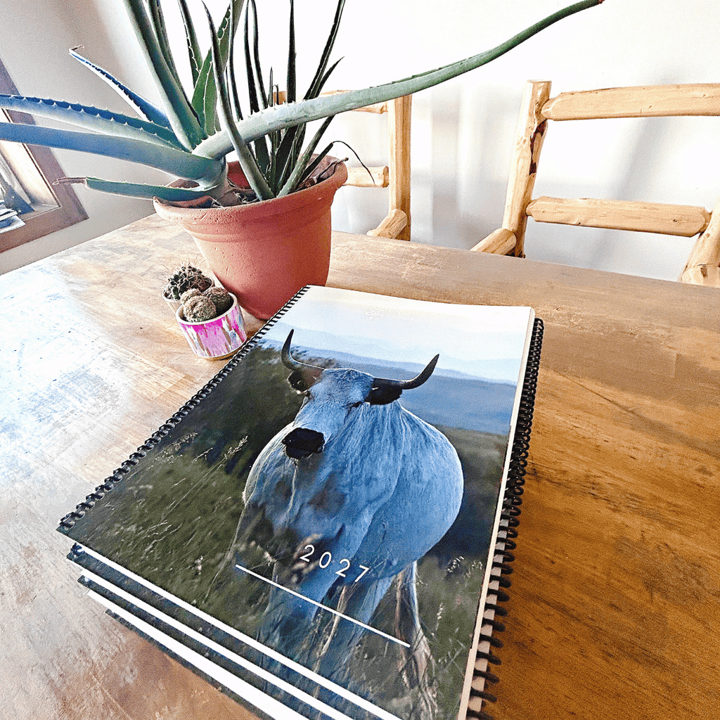 2027 Planner